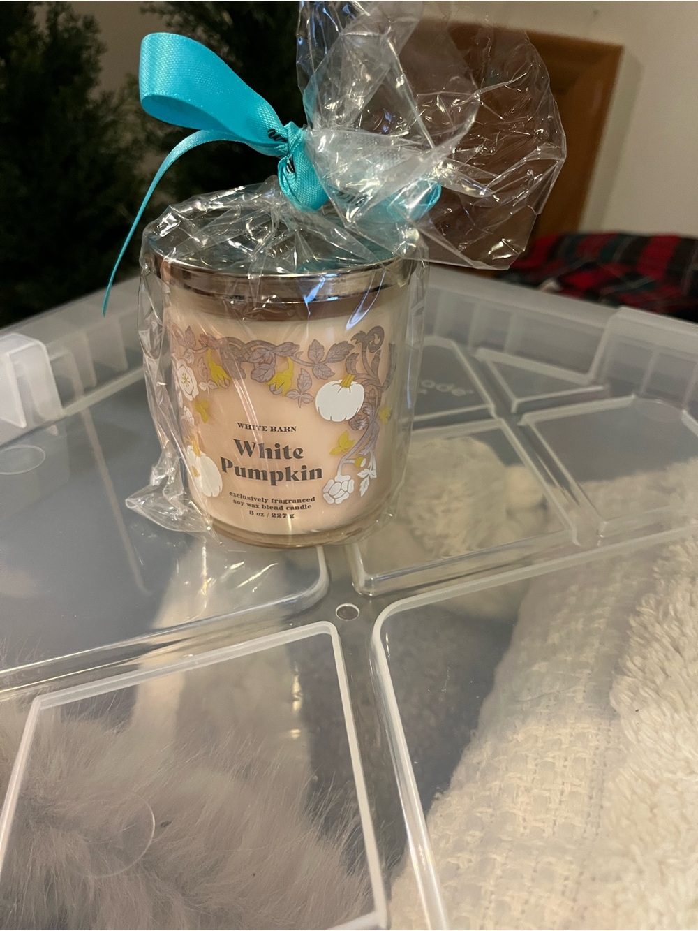NWT White Pumpkin candle - White Barn